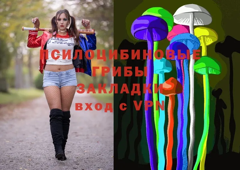 Галлюциногенные грибы Psilocybine cubensis  Поронайск 